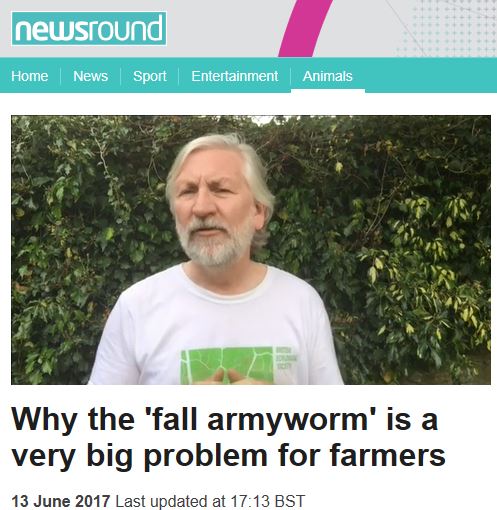 Ken on Newsround